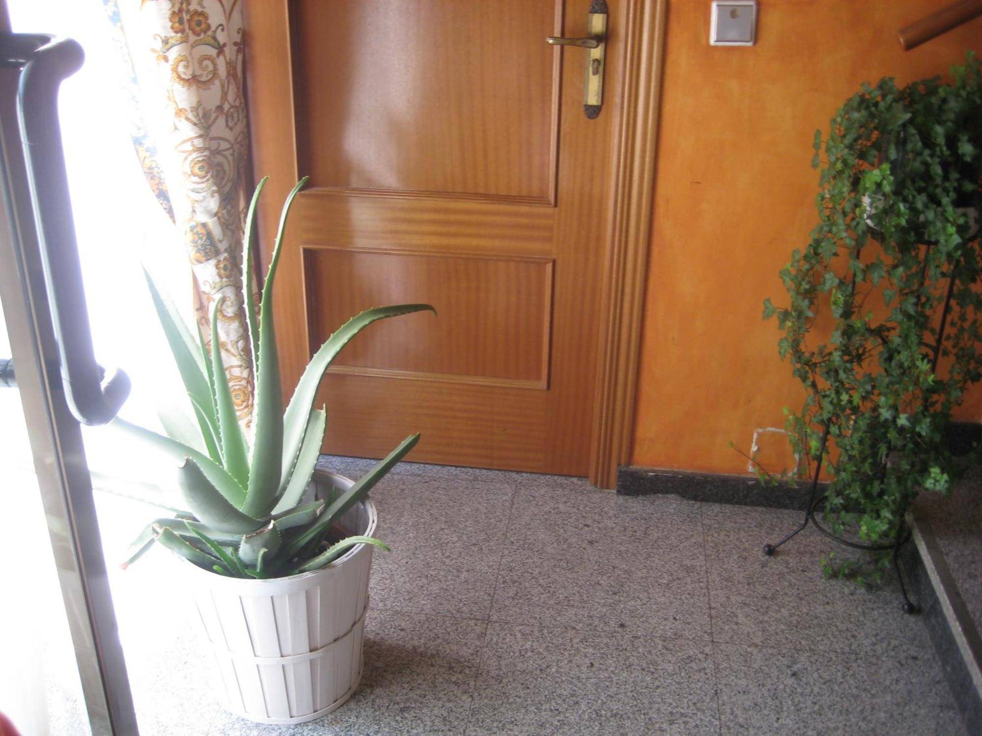 Hostal El Pinar Ávila Eksteriør billede
